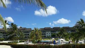 Flat beach class muro alto