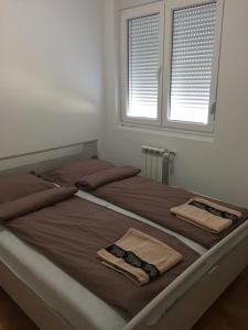 Apartman PEŠAČKA ZONA