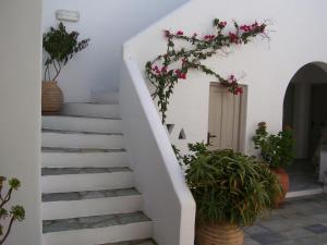 Despina's Mare Paros Greece