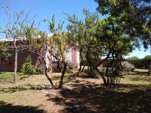 Cabañas Rayuela y otros cuentos