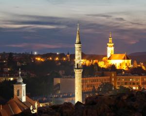 Tulip Family Apartments