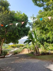 Blue Mountain Resort