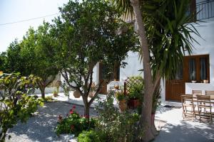 Dreamcatcher of Zeus Naxos Greece