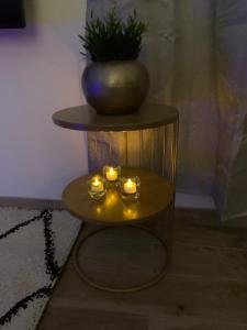 Appartements Appartement Cosy Jacuzzy Luxe Gare de Toulon : Appartement