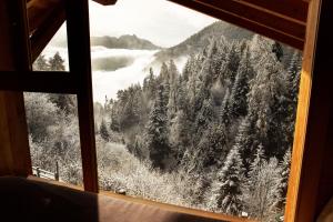 Коттедж Chalet Appolin Овронна Швейцария