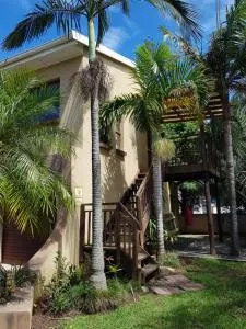 Paradise Flycatcher Accomodation - Beacon Bay