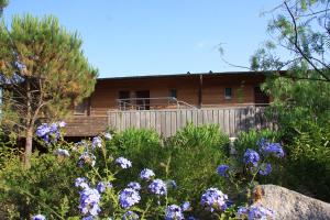 Appart'hotels Residence Cala Sultana : photos des chambres