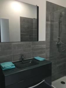 Appartement duplex photo 9