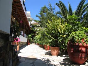 Pension Gioula Alonissos Greece