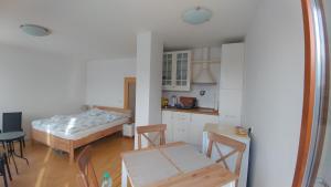 Vitkov Park Apartment