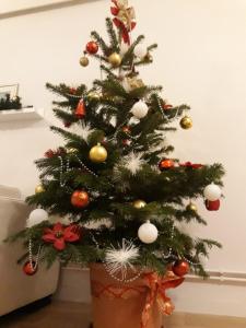 Apartment Stars in Shadow