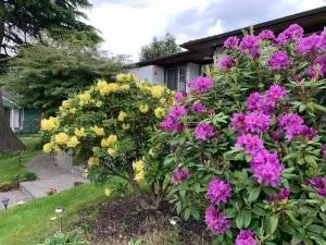 Mekong Star - Langley