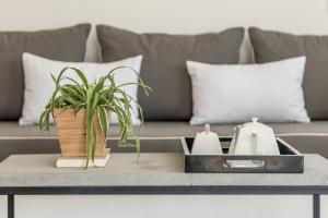 Eneos Kythnos Beach Villas-Executive and Premium Villas