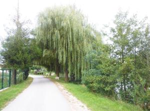 Maisons de vacances La Dimanche : photos des chambres