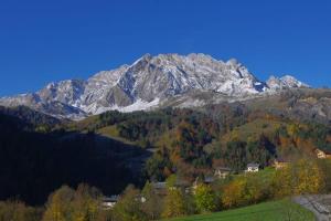 Appartements le grand nant : photos des chambres