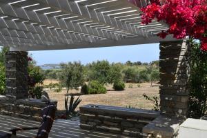 Filizi Vacation Home Paros Greece