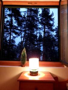 Apartman Pine Forest