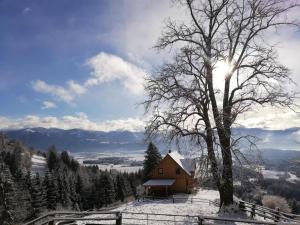 Ferienhaus Hochfelner