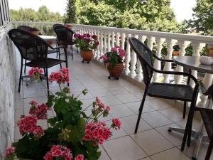 Olympus View Pieria Greece