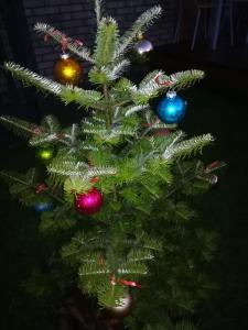 Geltoni apartamentai