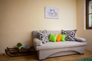 Green Orange Apartment