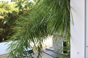 Tu Segundo Hogar en Santiago, La Cuidad CORAZÓN