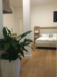 Studio Apartment 3  room in Perkeo Apartments