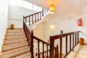 mangosteen holidays
