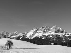 APARTMENTS Pension Foidl