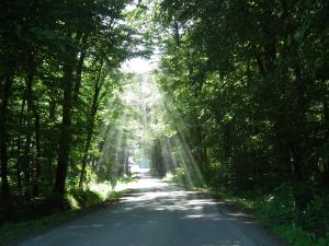 Ferienwohnung "Landblick"