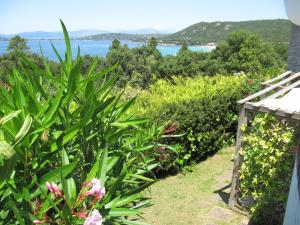 Maisons de vacances Villa PLEIN SOLEIL- Plage d'Argent a 150 m - 150 m from beach : photos des chambres