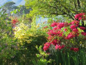 Bougain Villa Guesthouse