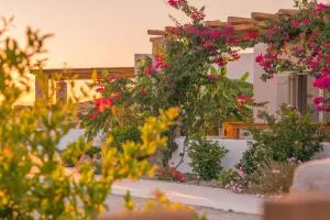 Milis Houses - Mytakas