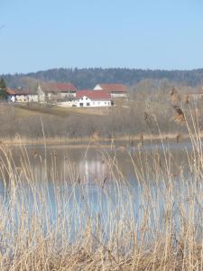 Maisons d'hotes L'esca'Lac : photos des chambres