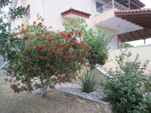 Villa Porto Matzavino