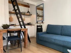 Pelican Dune near the beach. - 海滨诺德韦克