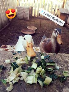 Il Casale dei Principi