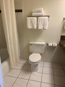 Deluxe Room room in Miracle Springs Resort and Spa