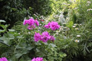 Apartment Podgora 6670b