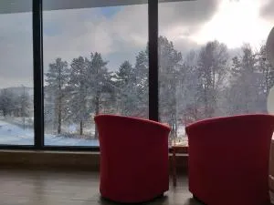 apartman SUPERKLASIKO - Divčibare