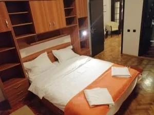 Apartament Athenee Palace Bucharest - 沃伦塔里