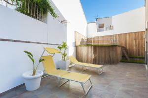 Gandia Confort Treviso