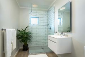 CURIOCITY Green Point