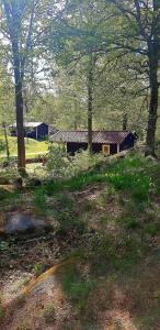 Mobile Home room in Kolleviks Camping