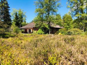 Chata Landhaus mitten in der Lüneburger Heide Undeloh Německo