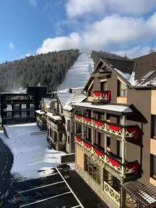 Chalet Blanc - Bystrytsya