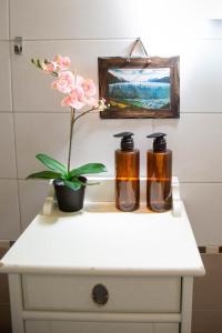 Porta Galliera Apartment