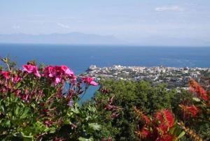 Talu Casa Geranio Ischia Itaalia
