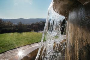 Tenuta il Sassone - Wine&Food