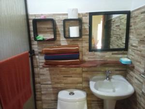 Blanconejo de Montezuma